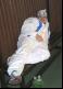 File: 134IMG_2471.JPG